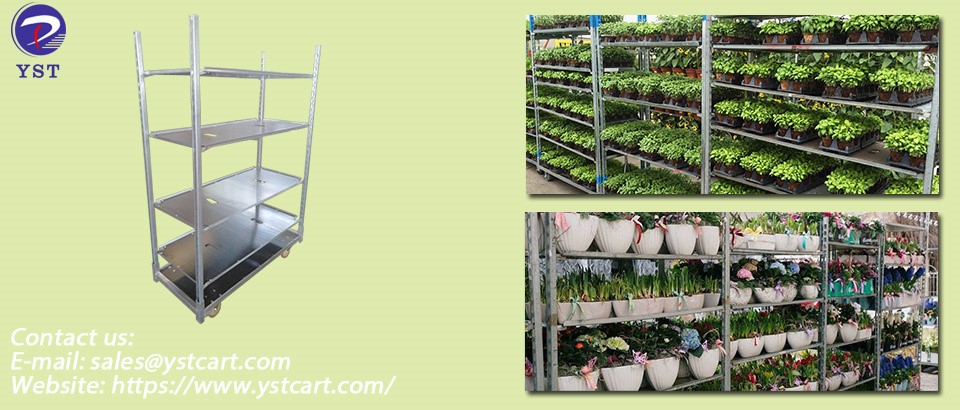 Plant Trolley-1 Plant Trolley-1