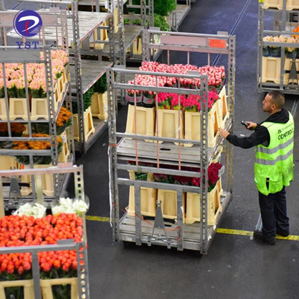 Plant Shipping Racks