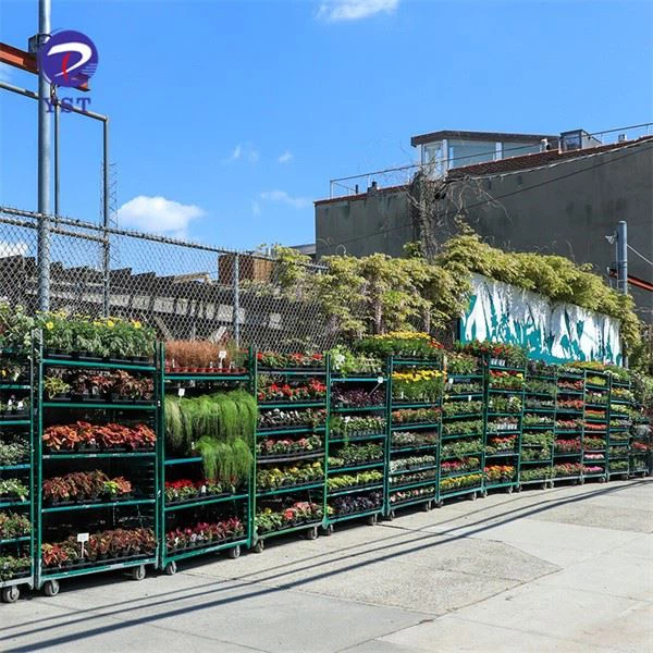 Trolley Shelves For Plant