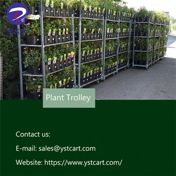 How To Choose The Perfect Dutch Plant Trolley For Your Gardening Needs